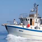 gulliver ribanje orka 33