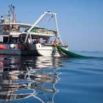 gulliver ribanje orka 34