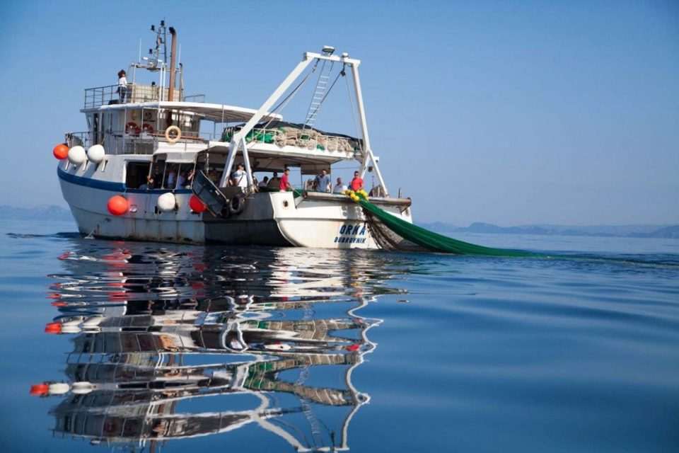 gulliver ribanje orka 34