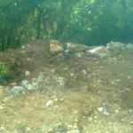lokrum8