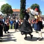osojnik055