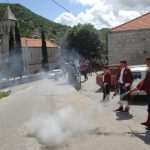 osojnik100