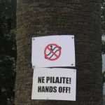 posat sjeca 09