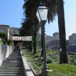 posat sjeca 11