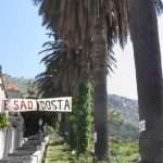 posat sjeca 13