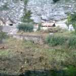 sjeca ombla5