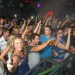 ingrosso revelin082