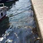 orsan prljavstin 27062013(3)