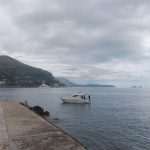 ronioci 06