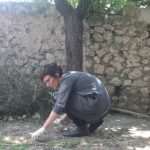 skup potpore istanbul 150613(1)