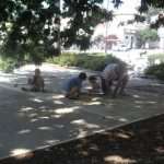 skup potpore istanbul 150613(8)