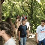 terenska u konavlima 05