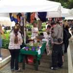 udruge predstavljanje uvala lapad 290613(2)