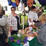 udruge predstavljanje uvala lapad 290613(5)