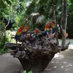 cancun karisma 14