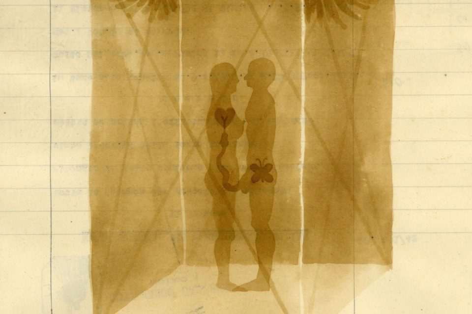 damir stojnic