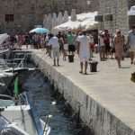 djir stradun 14