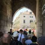 djir stradun 49