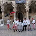 noc porporele 160713(10)