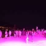 noc porporele 160713(45)
