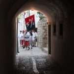 noc porporele 160713(5)