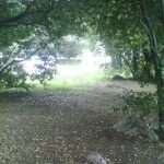 peca orasac 140713(3)
