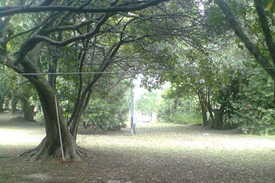 peca orasac 140713(4)