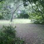 peca orasac 140713(5)