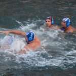 red bull porat 10