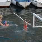 red bull porat 11