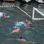 red bull porat 13