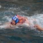red bull porat 17