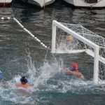 red bull porat 19