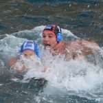 red bull porat 20