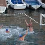 red bull porat 21