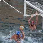 red bull porat 23