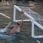 red bull porat 28