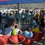red bull porat 37