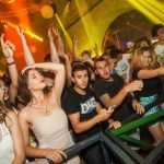revelin w&w 15