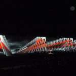 roger waters the wall 240713(14)