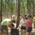 Agroturizam Konavle na Siciliji 1 agroturizam sicilija 02