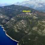 canavia mikulici 01