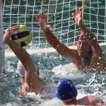 divlja liga davor suker 060813(1)