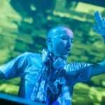 forest fasano revelin 310813(22)