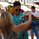 guzva turisti kruzeri 250813(17)