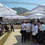 mandaljena babaic 14