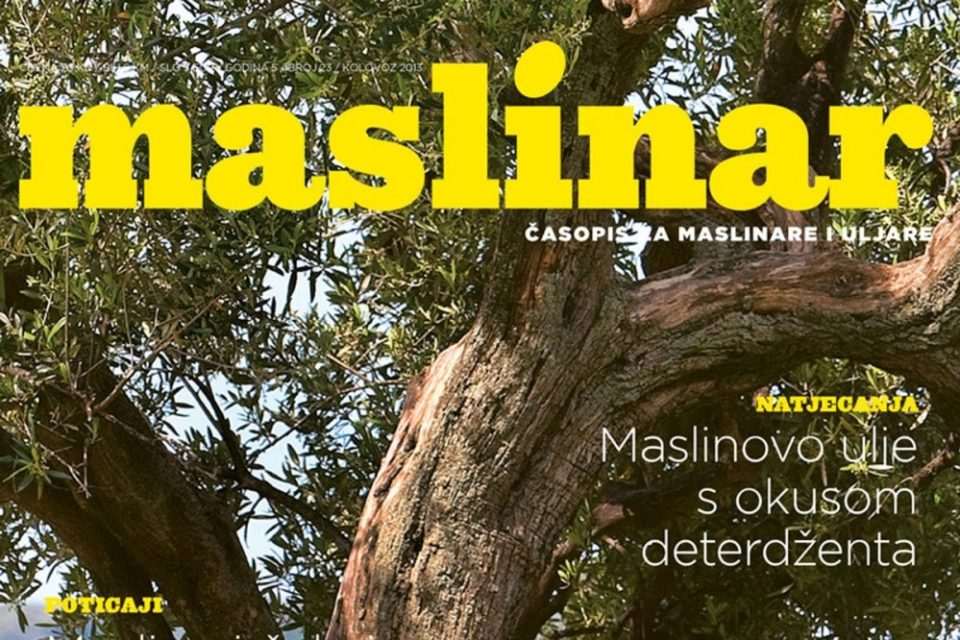 maslinar 23 01