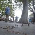 nevrijeme 100813(5)