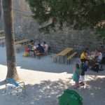 pilee115
