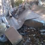 stara bolnica smece bonsai 110813(3)